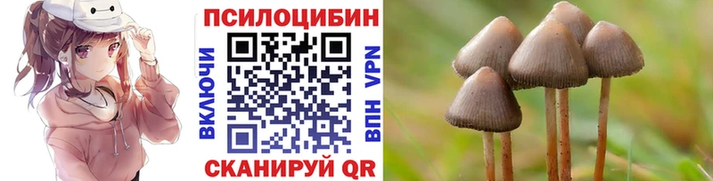 Псилоцибиновые грибы MAGIC MUSHROOMS  гидра ссылки  Заозёрный  купить наркотики цена 